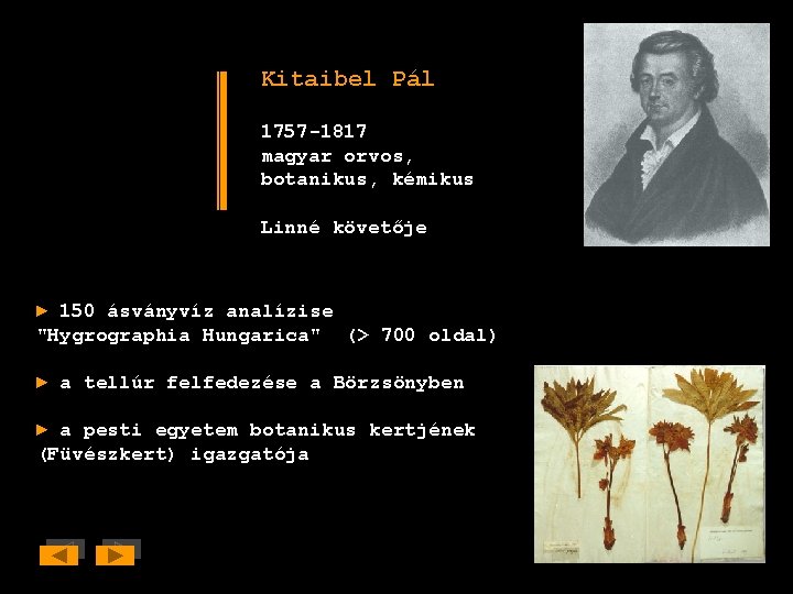 Kitaibel Pál 1757 -1817 magyar orvos, botanikus, kémikus Linné követője ► 150 ásványvíz analízise