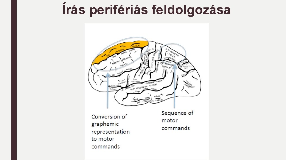 Írás perifériás feldolgozása 