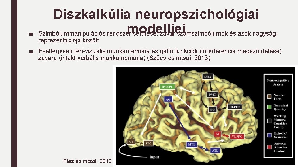 ■ Diszkalkúlia neuropszichológiai modelljei Szimbólummanipulációs rendszer sérülése: zavar számszimbólumok és azok nagyságreprezentációja között ■