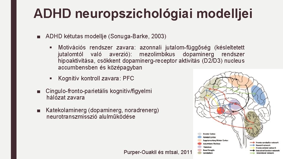 ADHD neuropszichológiai modelljei ■ ADHD kétutas modellje (Sonuga-Barke, 2003) § Motivációs rendszer zavara: azonnali ADHD neuropszichológiai modelljei ■ ADHD kétutas modellje (Sonuga-Barke, 2003) § Motivációs rendszer zavara: azonnali