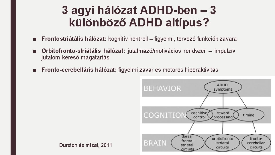 3 agyi hálózat ADHD-ben – 3 különböző ADHD altípus? ■ Frontostriátális hálózat: kognitív kontroll