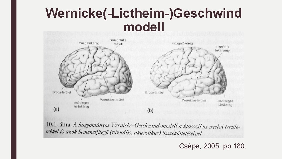 Wernicke(-Lictheim-)Geschwind modell Csépe, 2005. pp 180. 