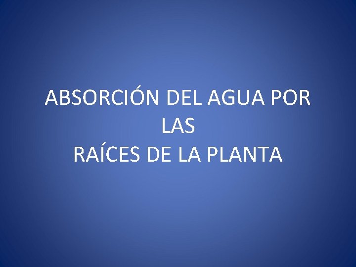 ABSORCIÓN DEL AGUA POR LAS RAÍCES DE LA PLANTA 