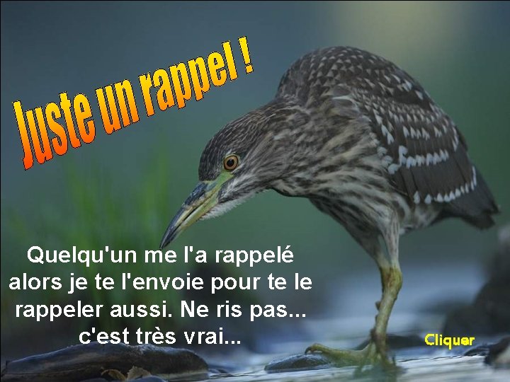 Quelqu'un me l'a rappelé alors je te l'envoie pour te le rappeler aussi. Ne