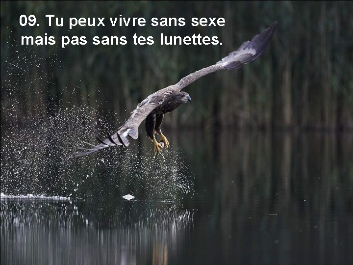 09. Tu peux vivre sans sexe mais pas sans tes lunettes. 