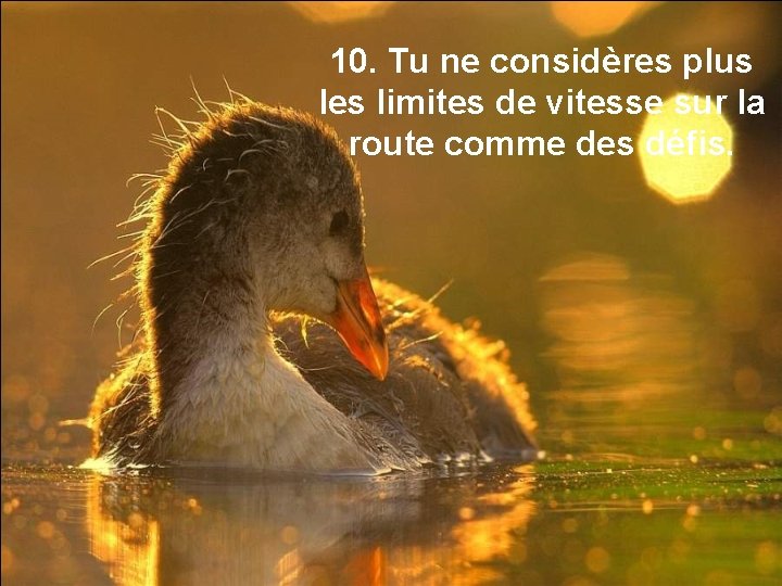 10. Tu ne considères plus les limites de vitesse sur la route comme des