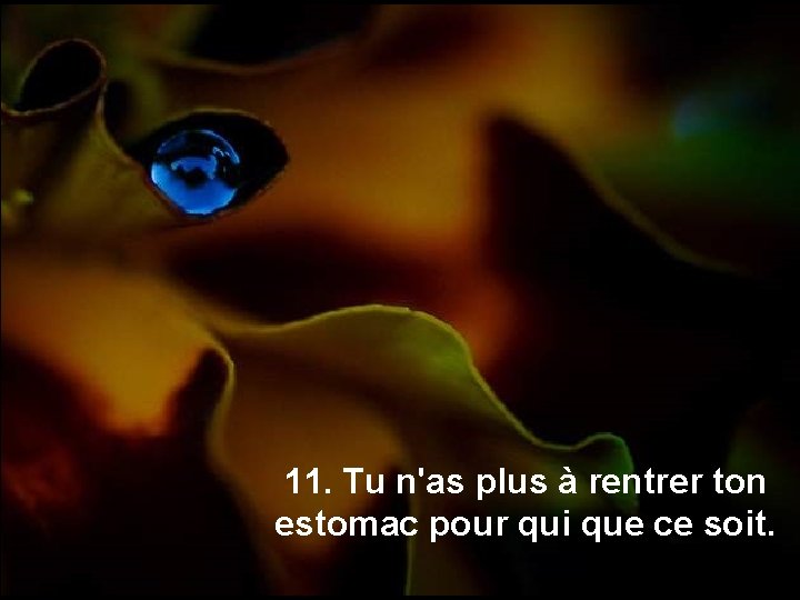 11. Tu n'as plus à rentrer ton estomac pour qui que ce soit. 
