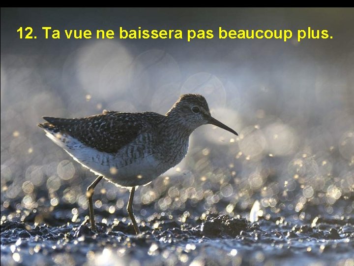 12. Ta vue ne baissera pas beaucoup plus. 
