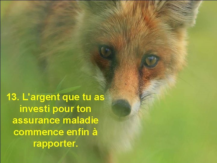 13. L'argent que tu as investi pour ton assurance maladie commence enfin à rapporter.