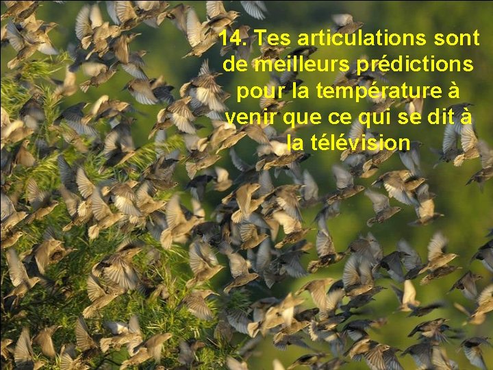 14. Tes articulations sont de meilleurs prédictions pour la température à venir que ce