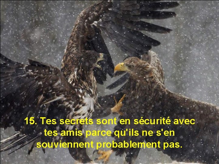 15. Tes secrets sont en sécurité avec tes amis parce qu'ils ne s'en souviennent