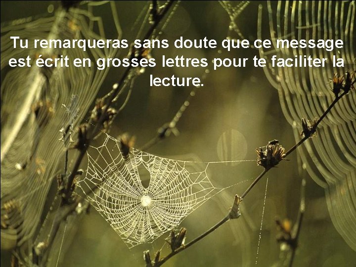 Tu remarqueras sans doute que ce message est écrit en grosses lettres pour te