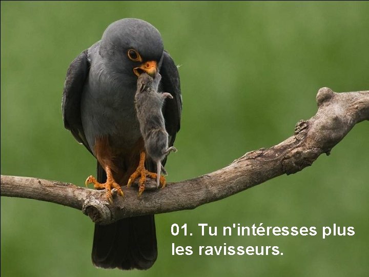 01. Tu n'intéresses plus les ravisseurs. 