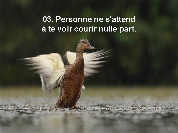 03. Personne ne s'attend à te voir courir nulle part. 