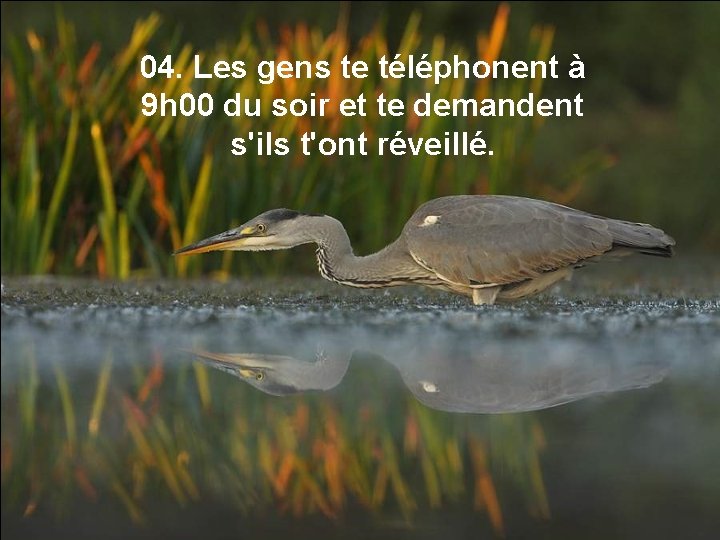 04. Les gens te téléphonent à 9 h 00 du soir et te demandent