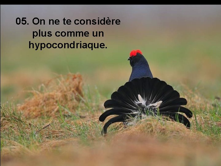 05. On ne te considère plus comme un hypocondriaque. 