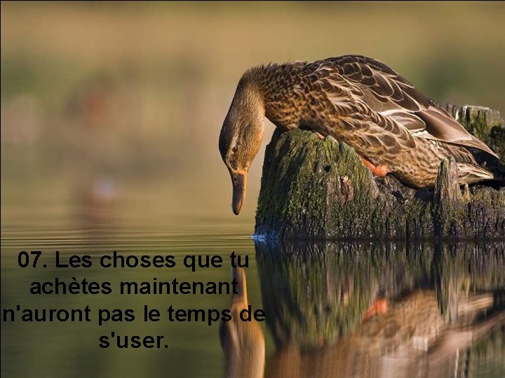 07. Les choses que tu achètes maintenant n'auront pas le temps de s'user. 