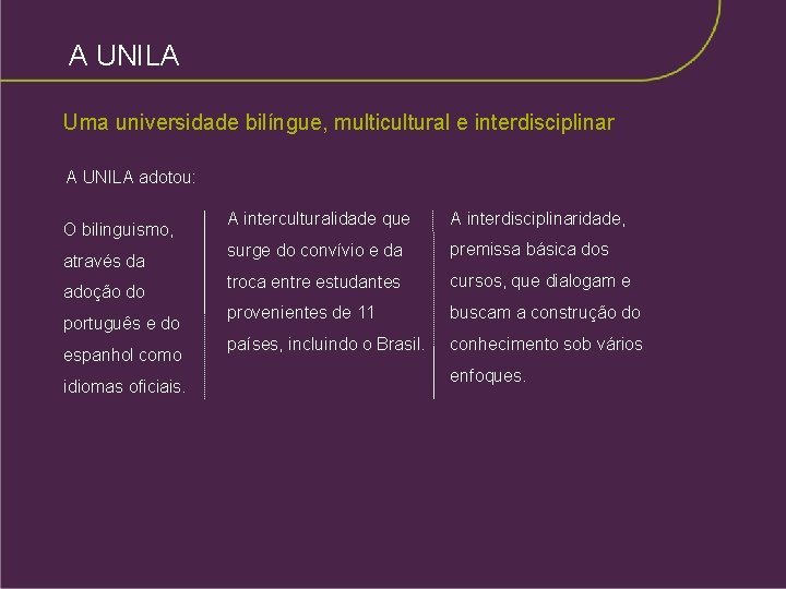A UNILA Uma universidade bilíngue, multicultural e interdisciplinar A UNILA adotou: O bilinguismo, através