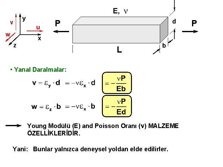 v w y u d P x z L b • Yanal Daralmalar: Young