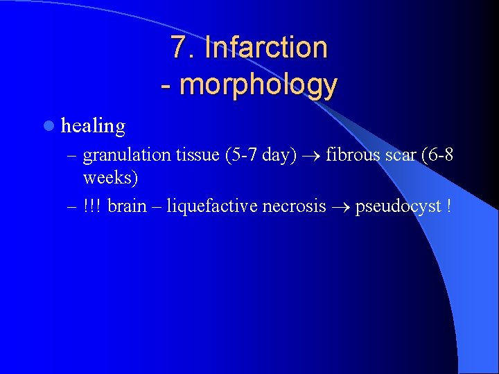 7. Infarction - morphology l healing – granulation tissue (5 -7 day) fibrous scar
