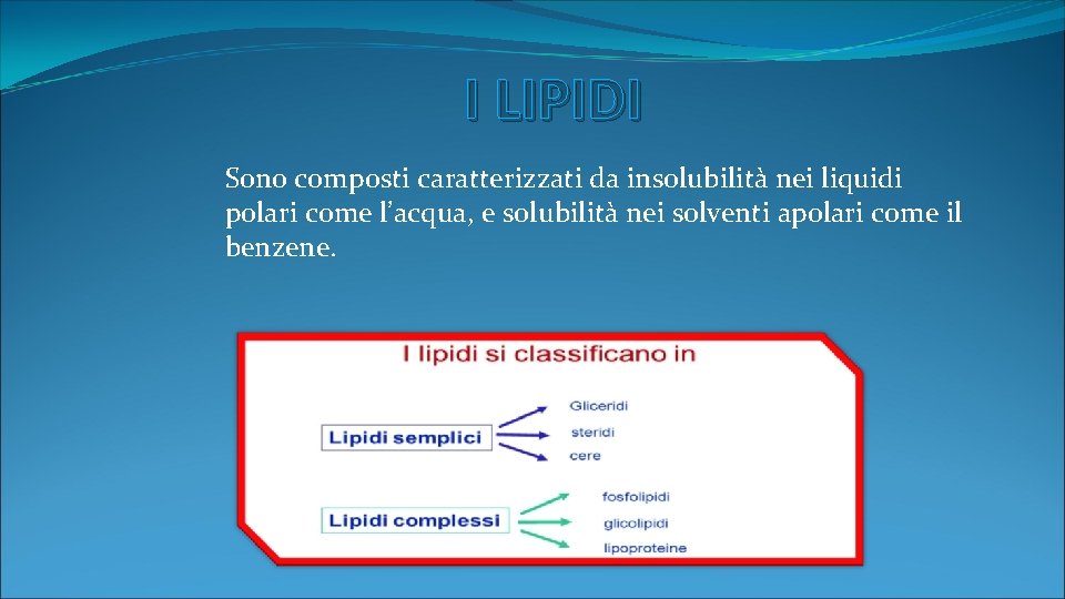 I LIPIDI Sono composti caratterizzati da insolubilità nei liquidi polari come l’acqua, e solubilità