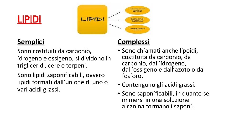 LIPIDI Semplici Sono costituiti da carbonio, idrogeno e ossigeno, si dividono in trigliceridi, cere