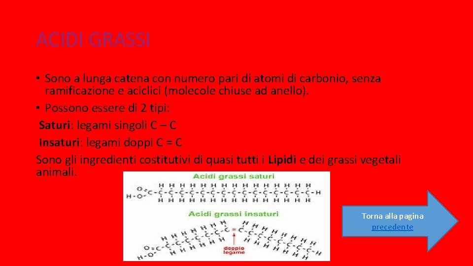 ACIDI GRASSI • Sono a lunga catena con numero pari di atomi di carbonio,
