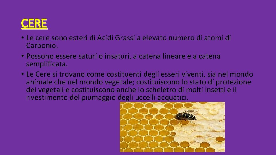 CERE • Le cere sono esteri di Acidi Grassi a elevato numero di atomi