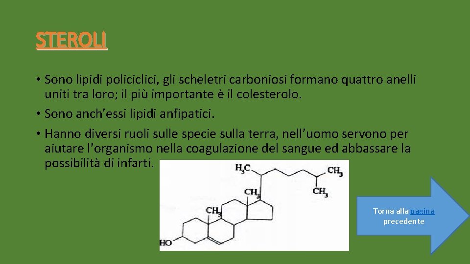STEROLI • Sono lipidi policiclici, gli scheletri carboniosi formano quattro anelli uniti tra loro;