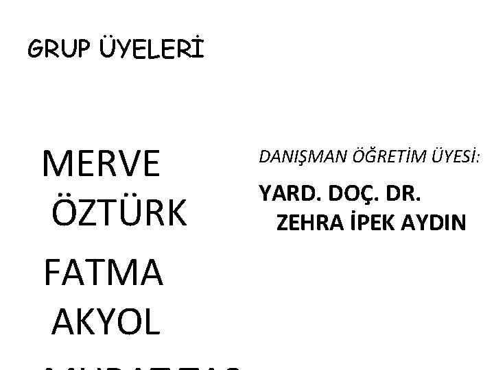 GRUP ÜYELERİ MERVE ÖZTÜRK FATMA AKYOL DANIŞMAN ÖĞRETİM ÜYESİ: YARD. DOÇ. DR. ZEHRA İPEK