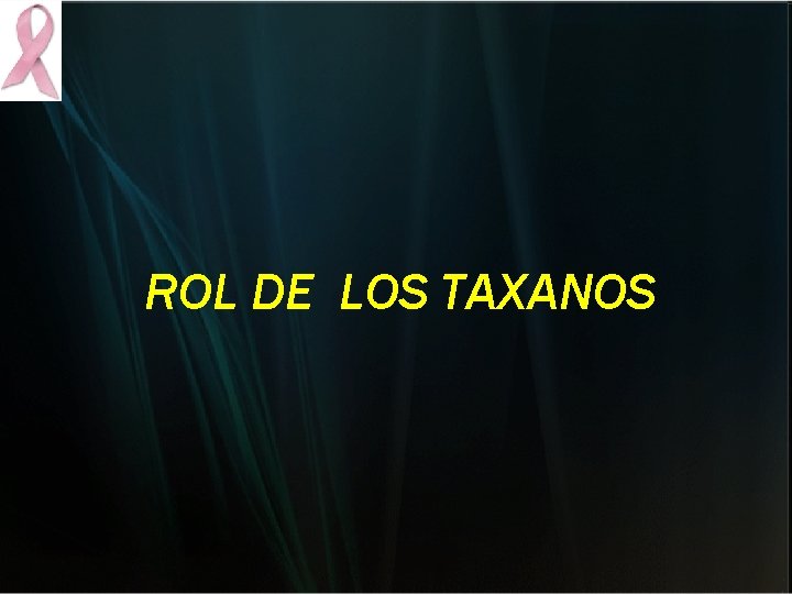ROL DE LOS TAXANOS ROL DE LOS TAXANOS
