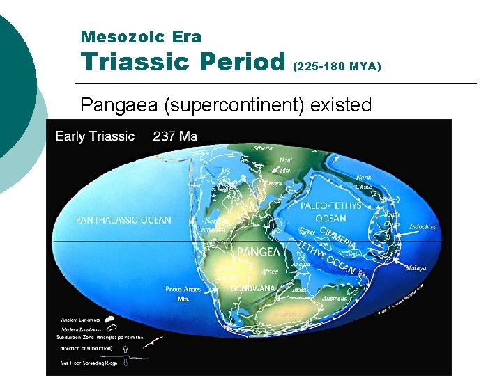 Mesozoic Era Triassic Period (225 -180 MYA) Pangaea (supercontinent) existed 