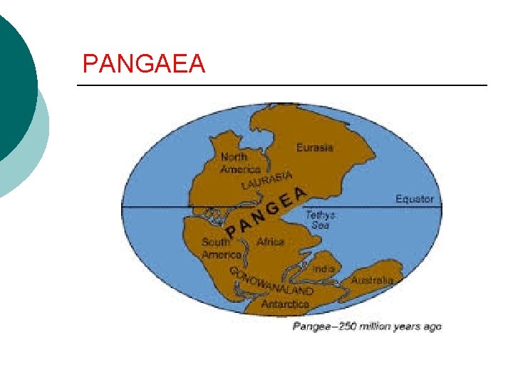 PANGAEA 