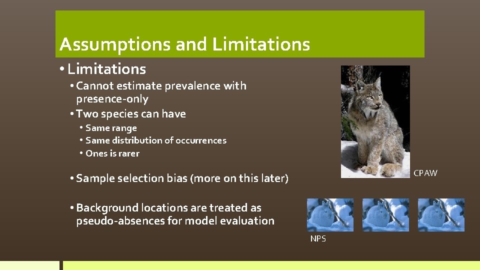 Assumptions and Limitations • Cannot estimate prevalence with presence-only • Two species can have