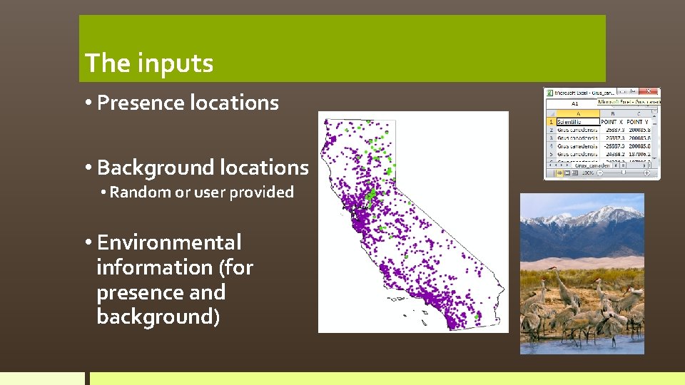 The inputs • Presence locations • Background locations • Random or user provided •