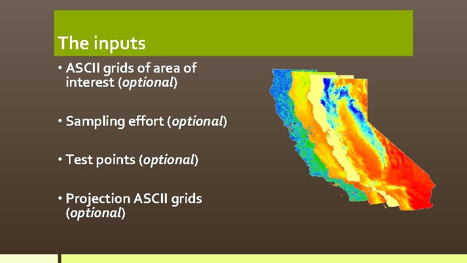 The inputs • ASCII grids of area of interest (optional) • Sampling effort (optional)