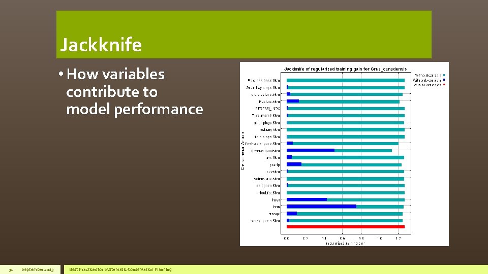 Jackknife • How variables contribute to model performance 31 September 2013 Best Practices for