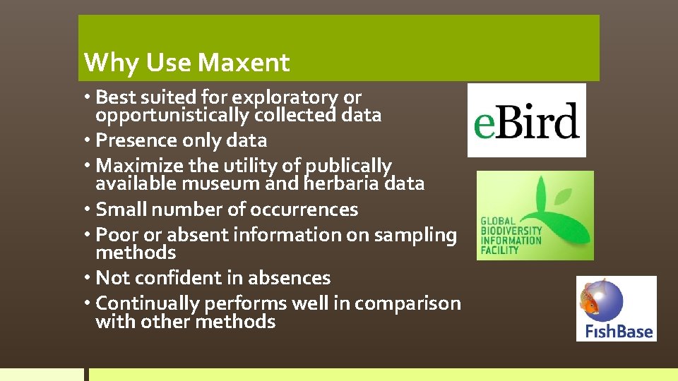Why Use Maxent • Best suited for exploratory or opportunistically collected data • Presence