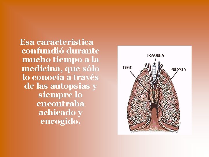 Esa característica confundió durante mucho tiempo a la medicina, que sólo lo conocía a