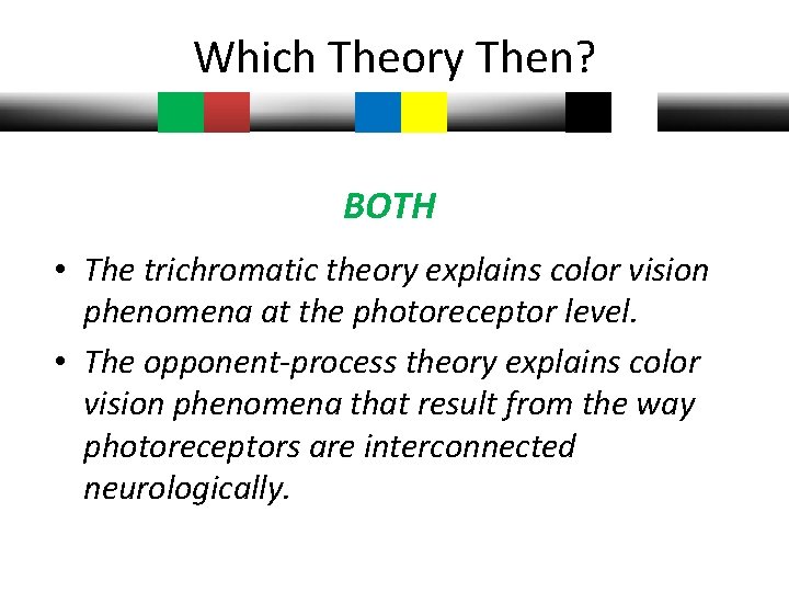 Which Theory Then? BOTH • The trichromatic theory explains color vision phenomena at the Which Theory Then? BOTH • The trichromatic theory explains color vision phenomena at the