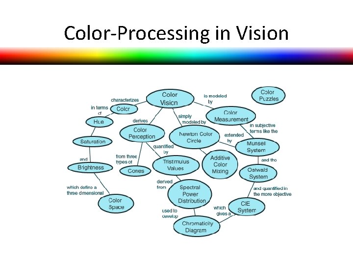Color-Processing in Vision Color-Processing in Vision