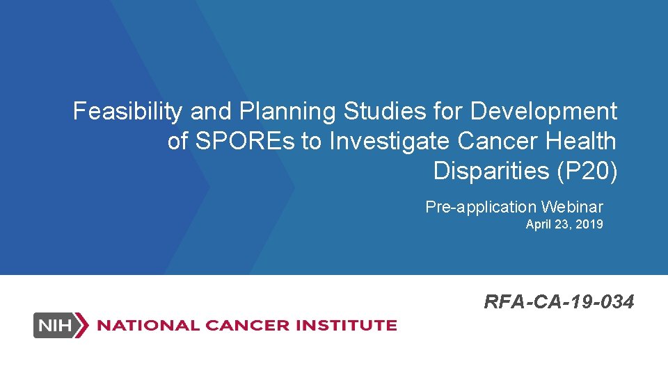 Feasibility and Planning Studies for Development of SPOREs to Investigate Cancer Health Disparities (P