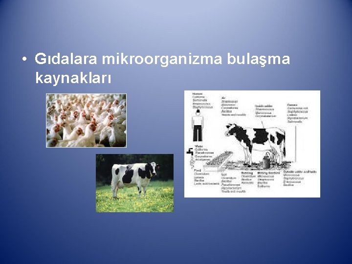  • Gıdalara mikroorganizma bulaşma kaynakları 