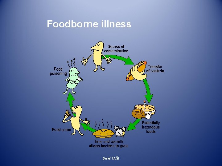 Foodborne illness Şeref TAĞI 