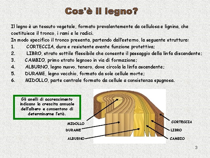 Il legno è un tessuto vegetale, formato prevalentemente da cellulosa e lignina, che costituisce