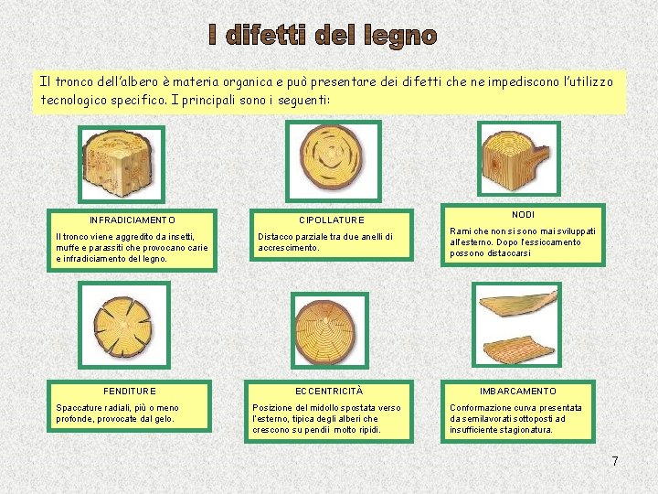 Il tronco dell’albero è materia organica e può presentare dei difetti che ne impediscono