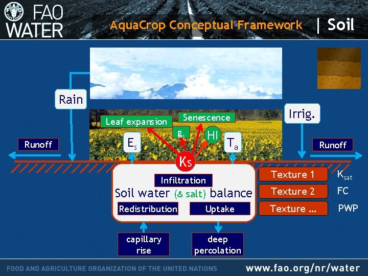 Aqua. Crop Conceptual Framework | Soil Rain Leaf expansion Runoff Senescence gs Es HI