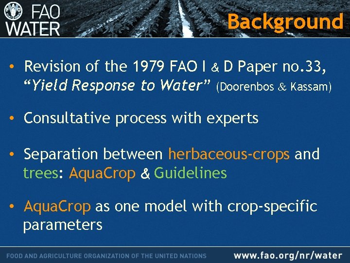 Background • Revision of the 1979 FAO I & D Paper no. 33, “Yield