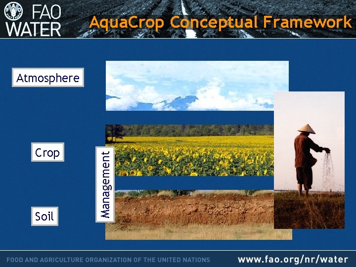 Aqua. Crop Conceptual Framework Crop Soil Management Atmosphere 