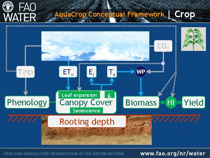 Aqua. Crop Conceptual Framework | Crop CO 2 T (o. C) Phenology ETo Es